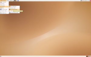 Feisty desktop