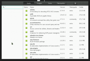 package manager
